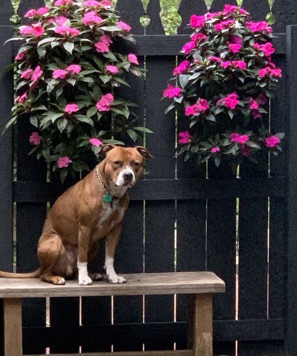 Photo of Others in Oak Park