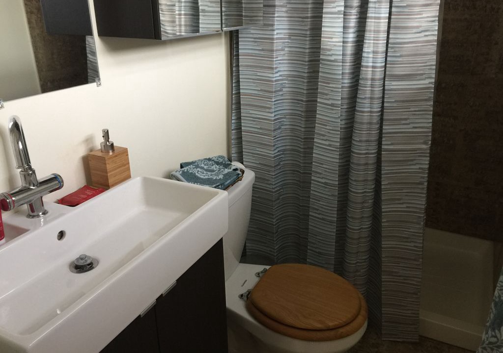 Photo of Bathroom in Wicker Park