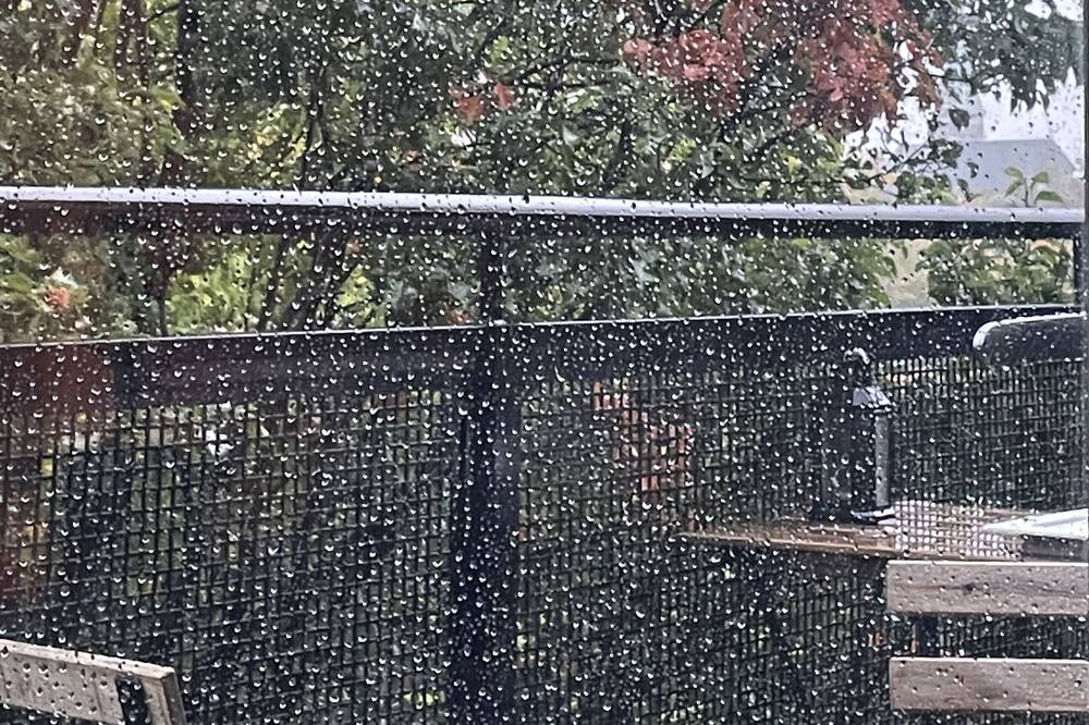 Photo of Patio Balcony in University Village / Little Italy