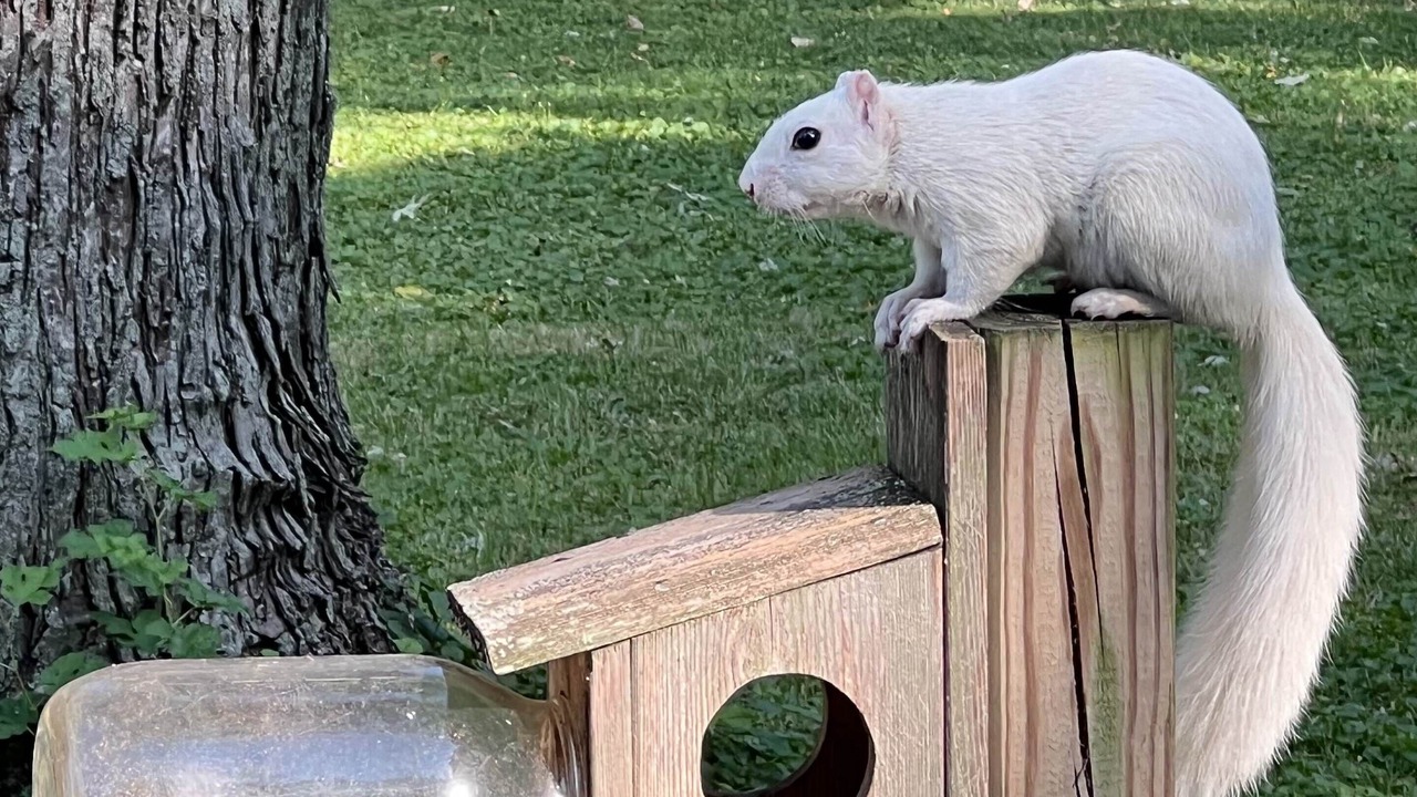 Photo of Outdoor in Decatur