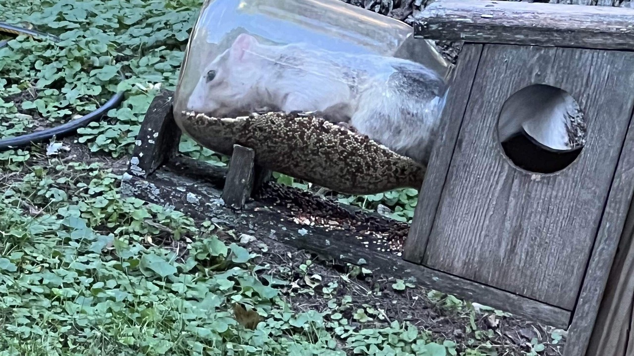 Photo of Outdoor in Decatur