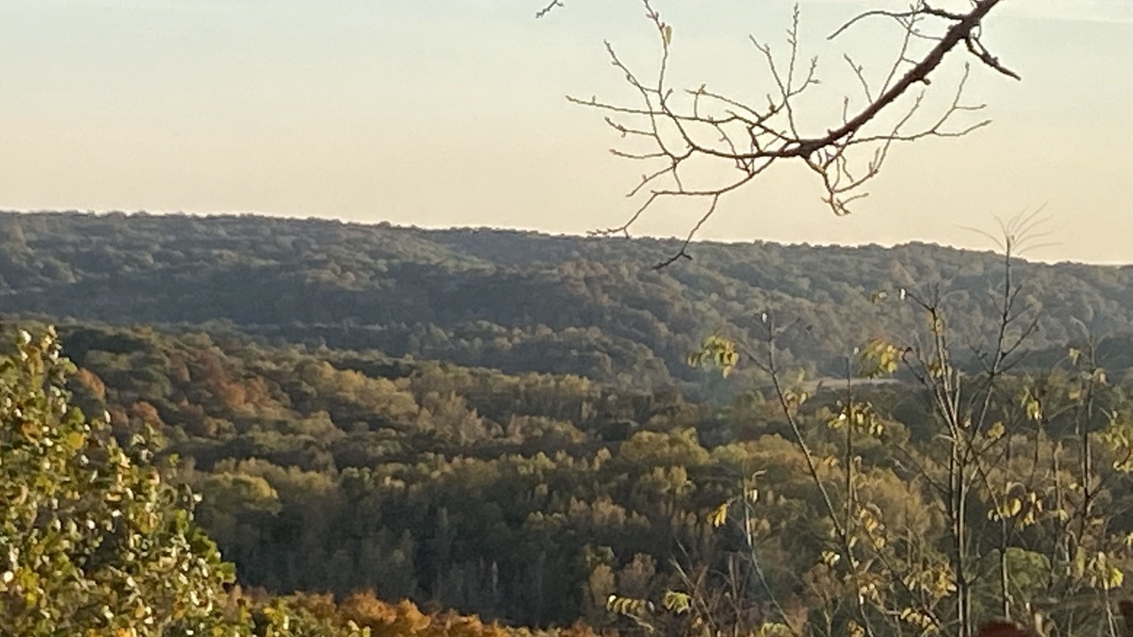 Photo of Others in Cobden