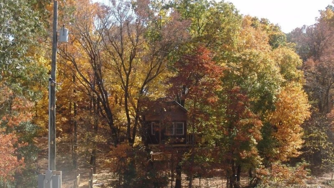Photo of Others in Hardin County
