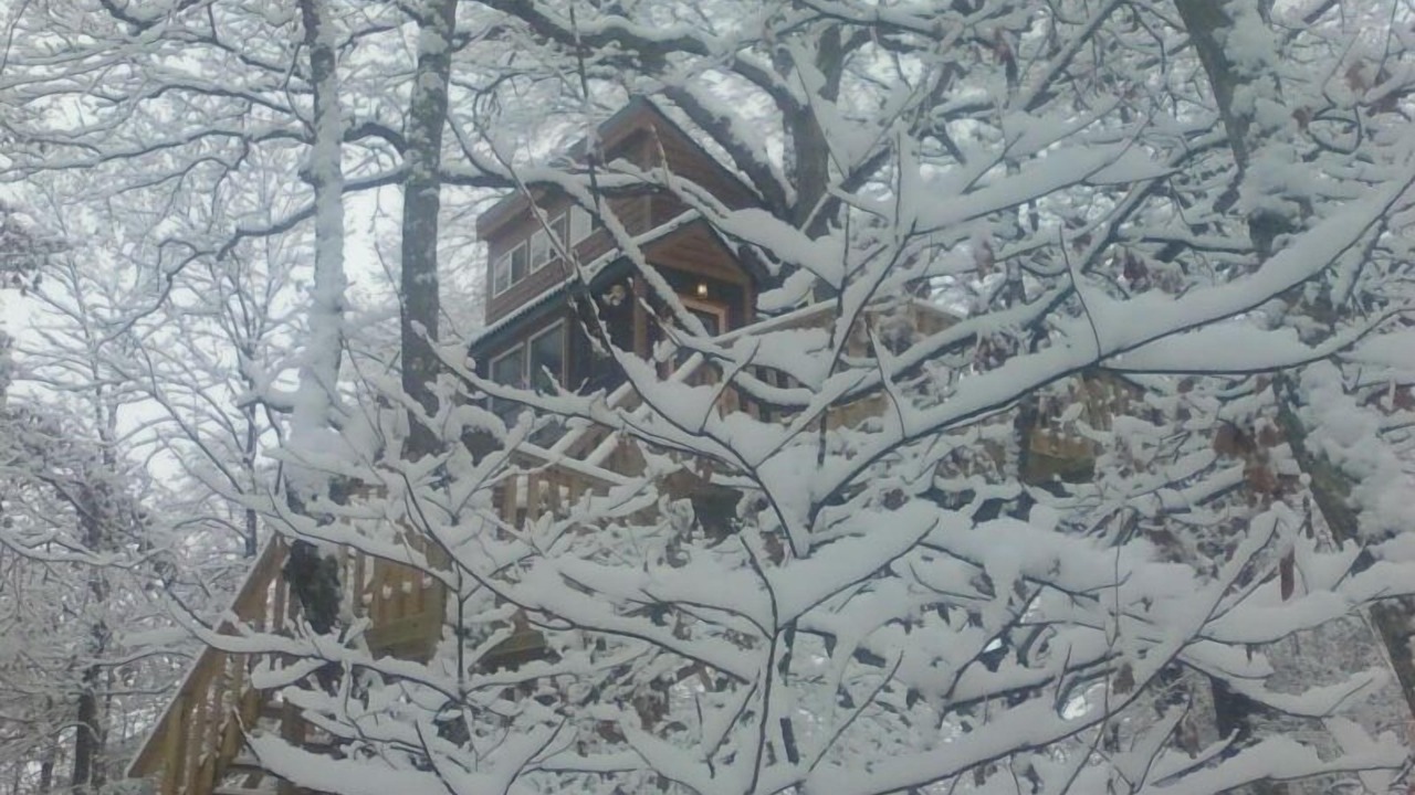Photo of Others in Hardin County