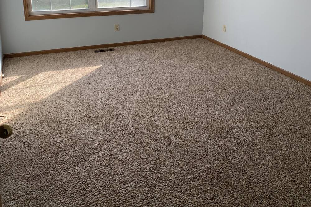 Photo of Others in Springfield