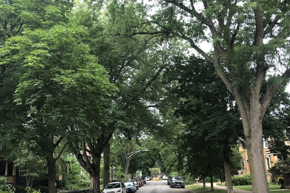 Photo of Others in Edgewater