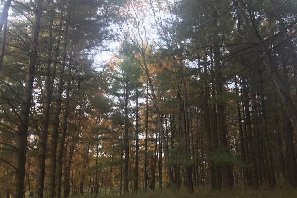 Photo of Outdoor in Bluford