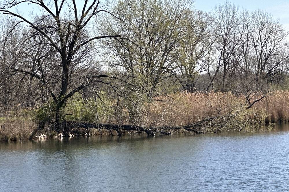 Photo of Outdoor in Bluford