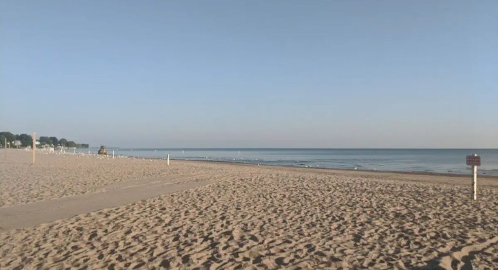 Photo of Others in South Shore