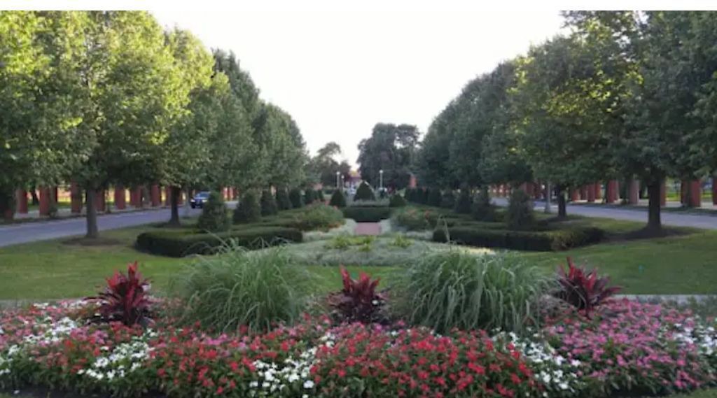 Photo of Outdoor in South Shore
