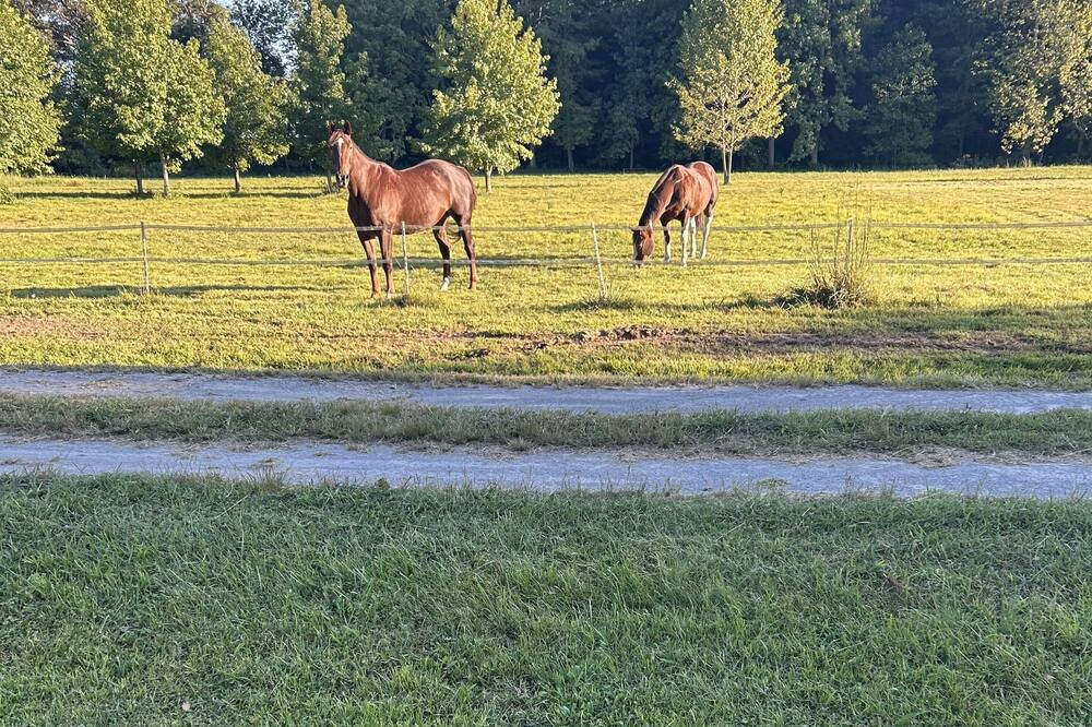 Photo of Outdoor in Grantsburg