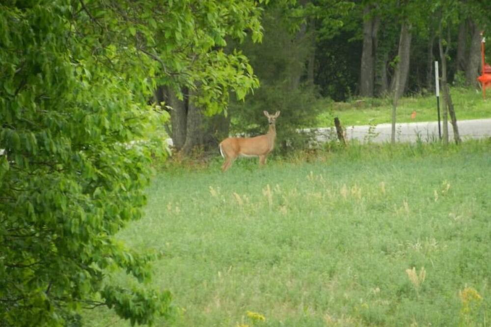 Photo of Others in Grafton