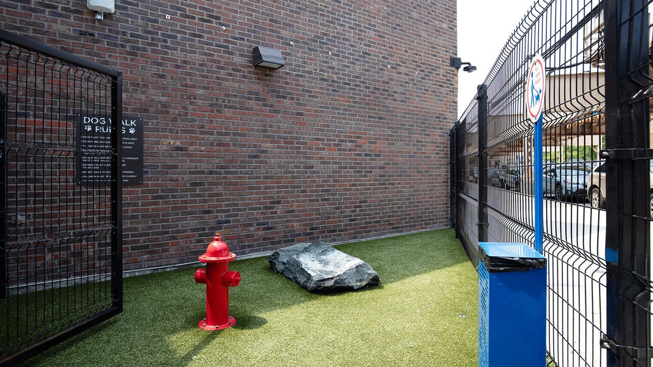 Photo of Outdoor in Near West Side