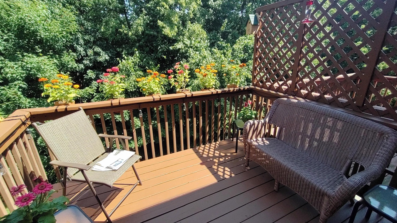 Photo of Outdoor in Algonquin