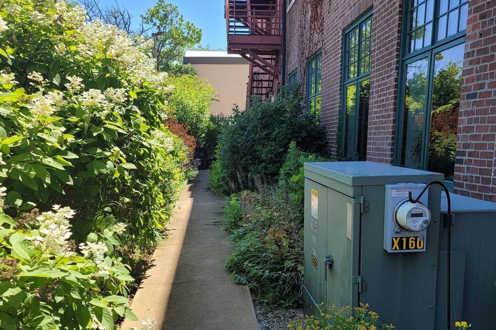Photo of Outdoor in Downtown Springfield