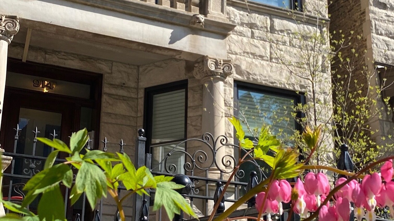 Photo of Outdoor in Lakeview