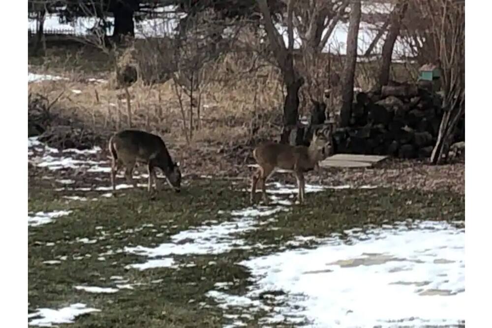 Photo of Others in Sleepy Hollow