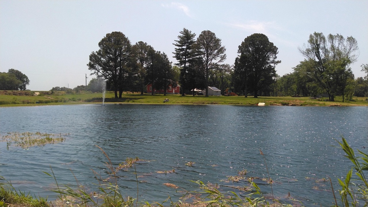 Photo of Outdoor in West Frankfort
