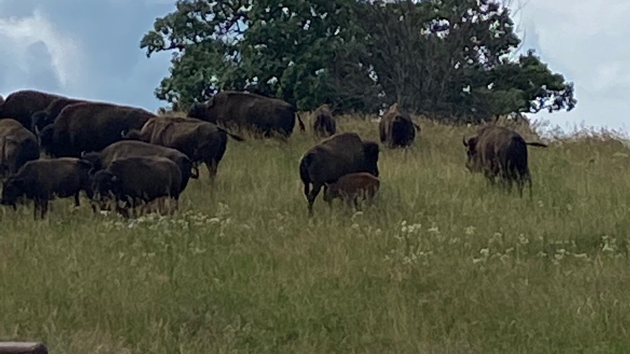 Photo of Outdoor in Oregon
