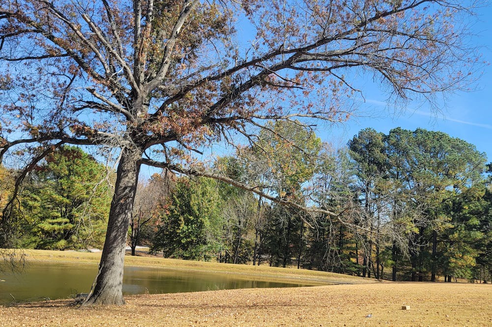 Photo of Outdoor in Murphysboro