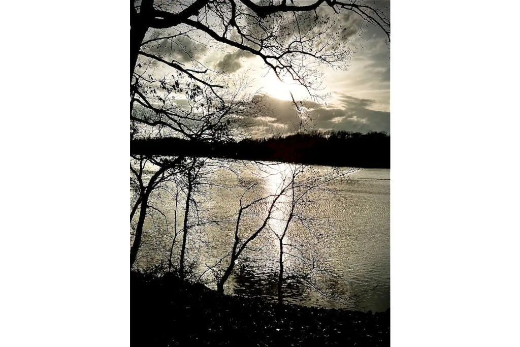 Photo of Outdoor in Texico
