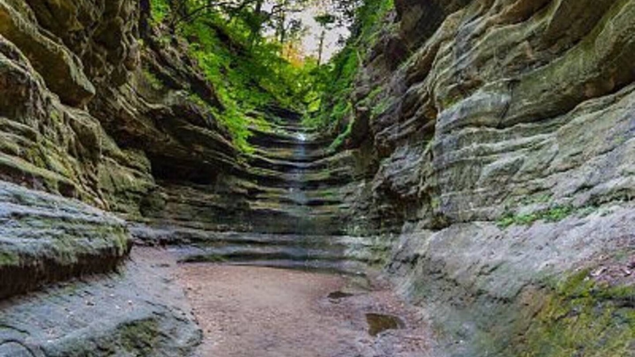 Photo of Outdoor in Oglesby