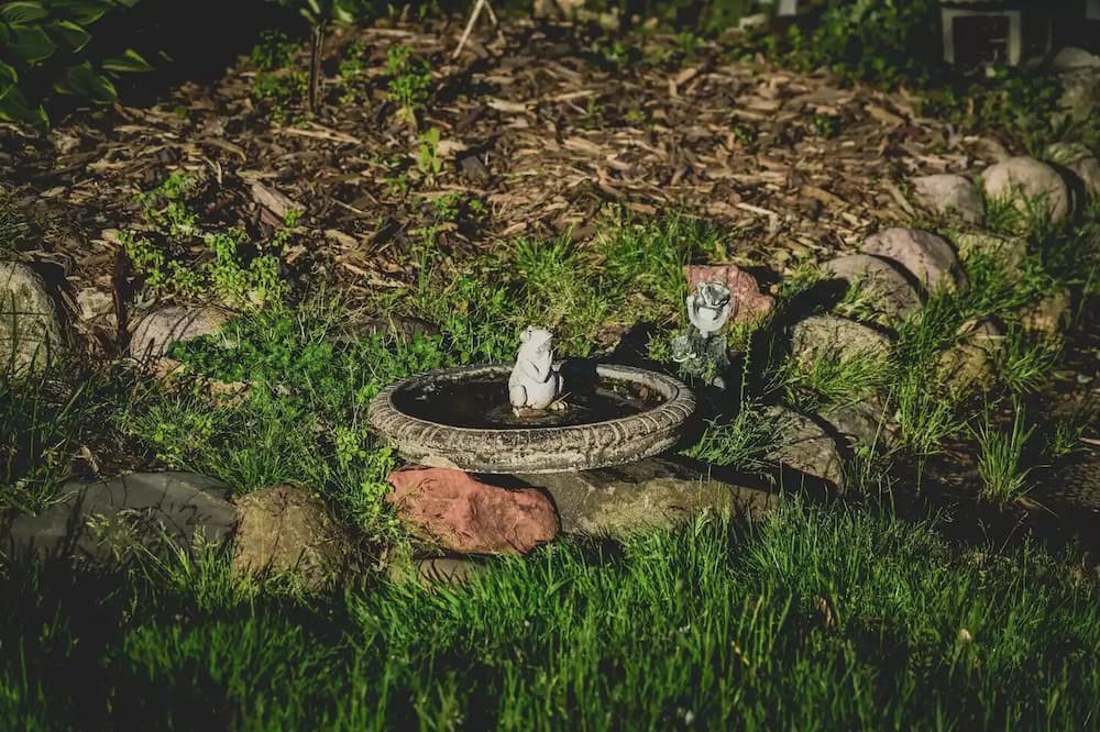 Photo of Outdoor in Fox Lake