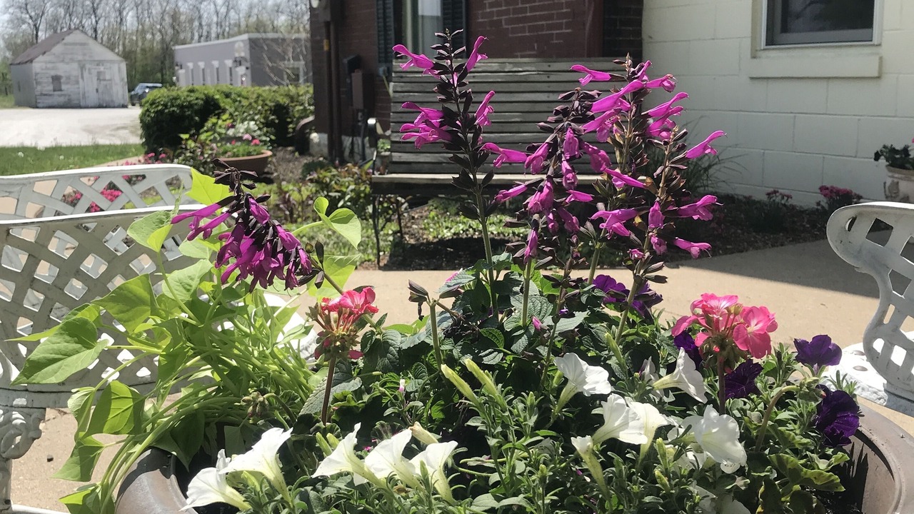 Photo of Outdoor in Nauvoo