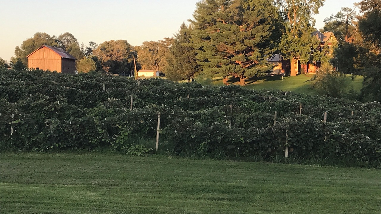 Photo of Outdoor in Nauvoo