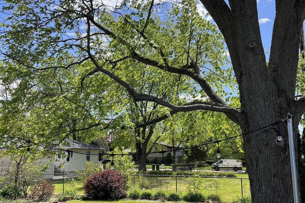Photo of Others in Urbana
