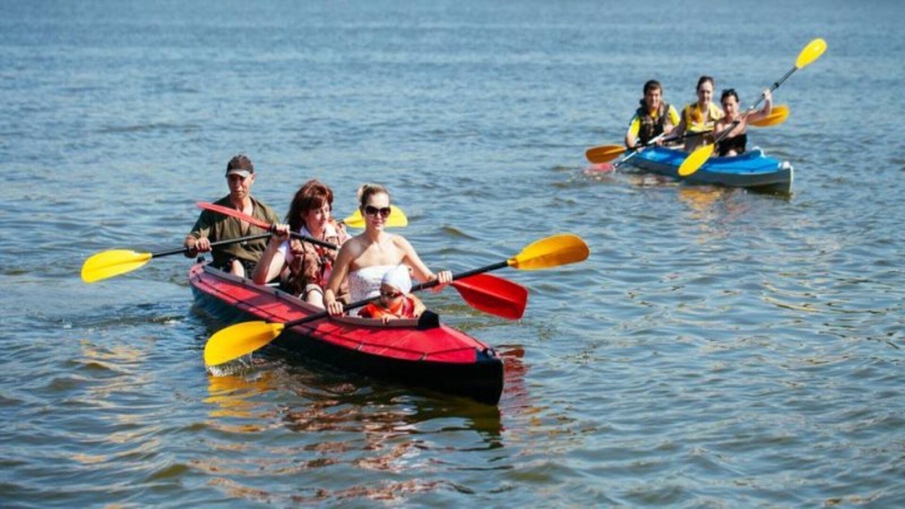 Photo of Others in Ottawa