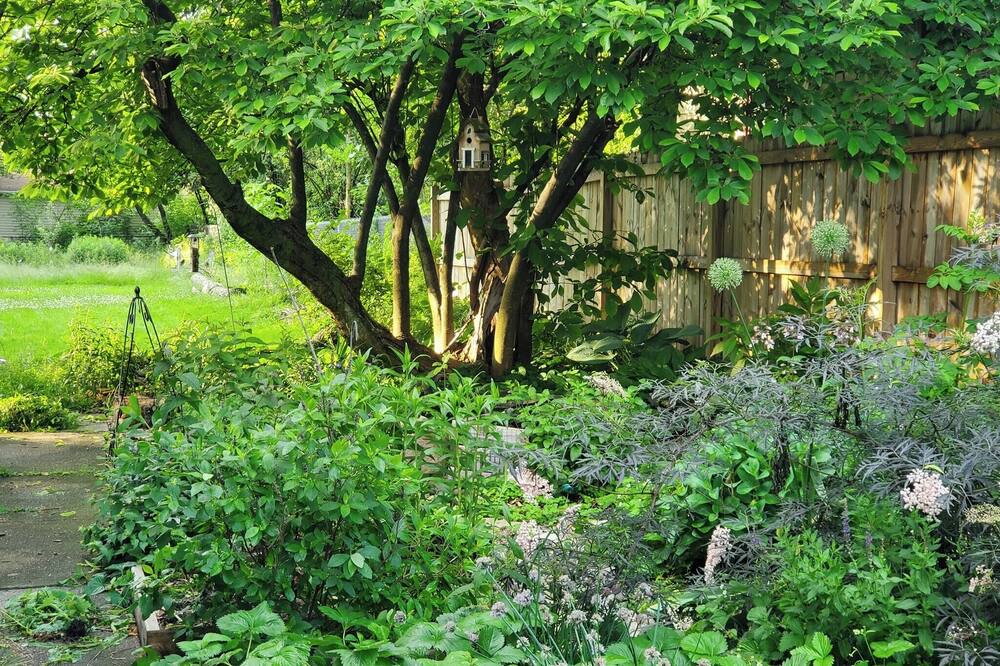 Photo of Others in Homewood