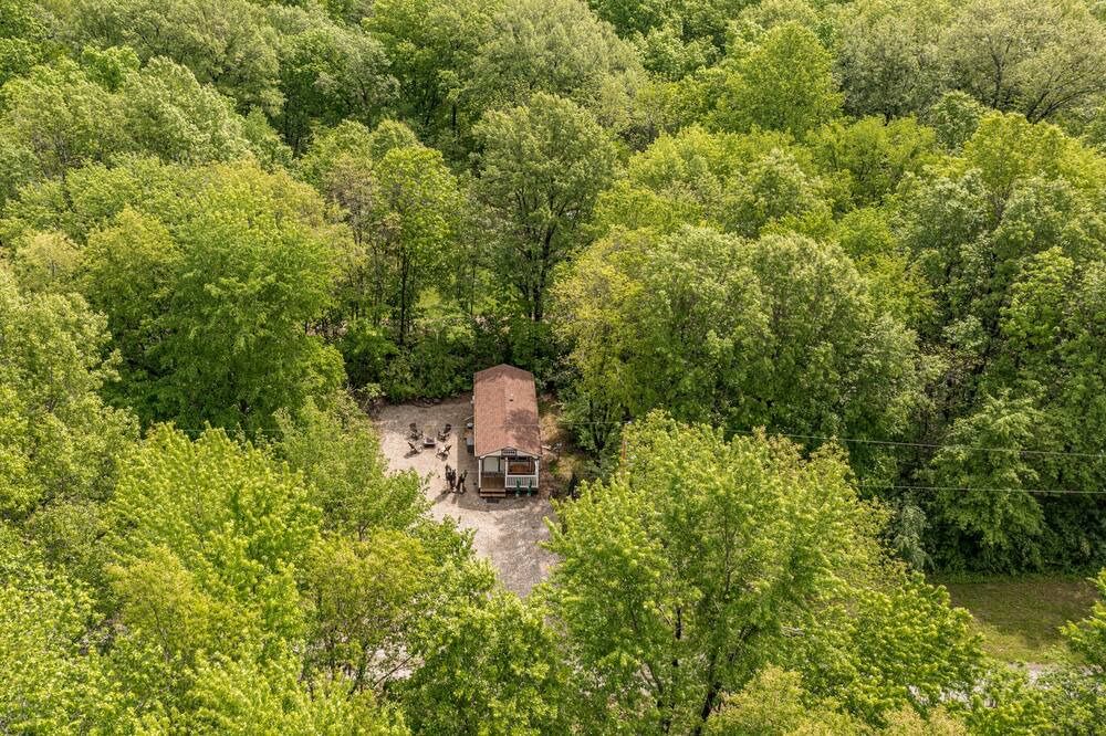 Photo of Others in Mulberry Grove