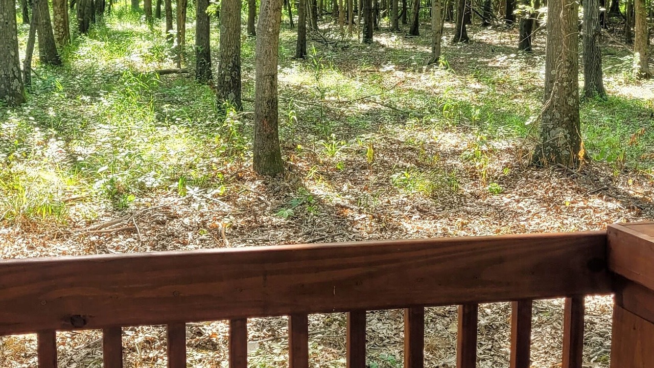 Photo of Outdoor in Bluford