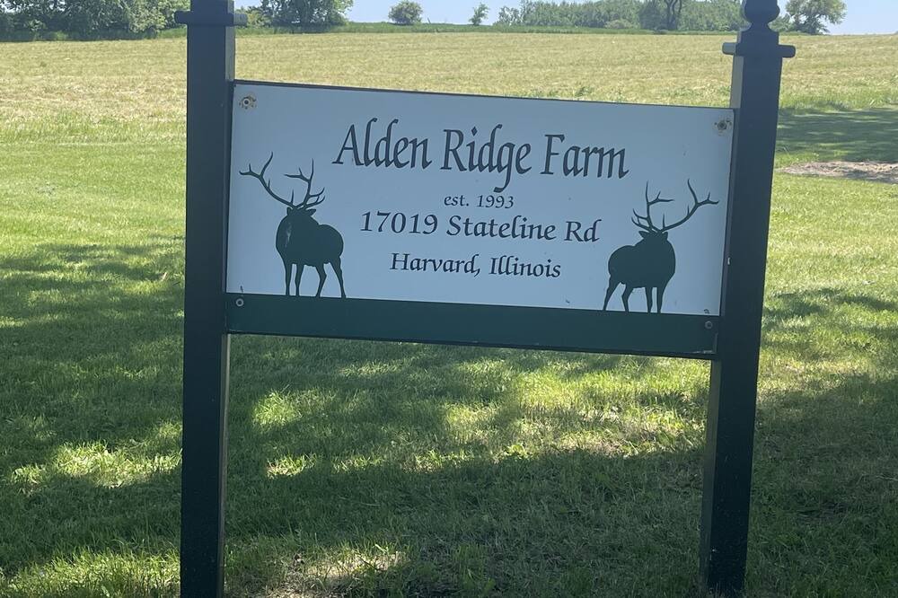 Photo of Others in Alden