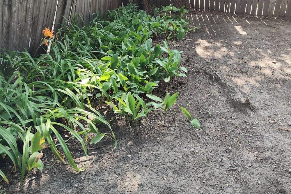 Photo of Outdoor in Avondale