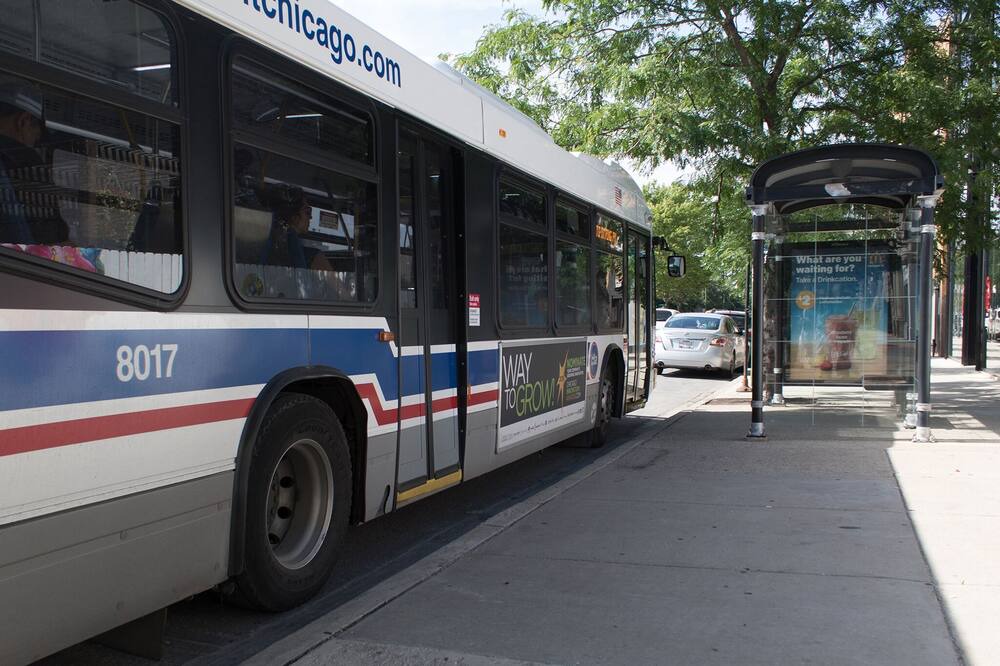 Photo of Outdoor in Pulaski Park