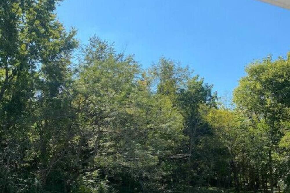 Photo of Outdoor in Granville