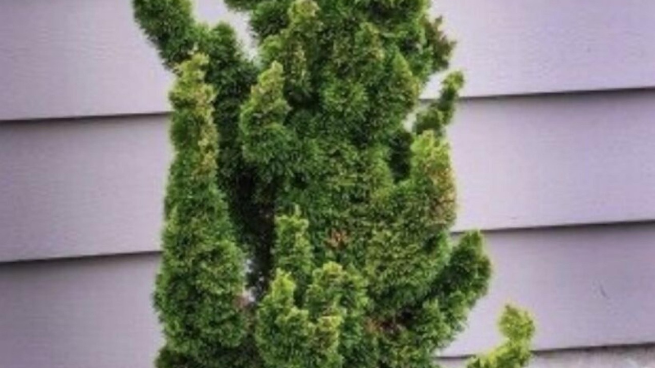 Photo of Outdoor in Urbana