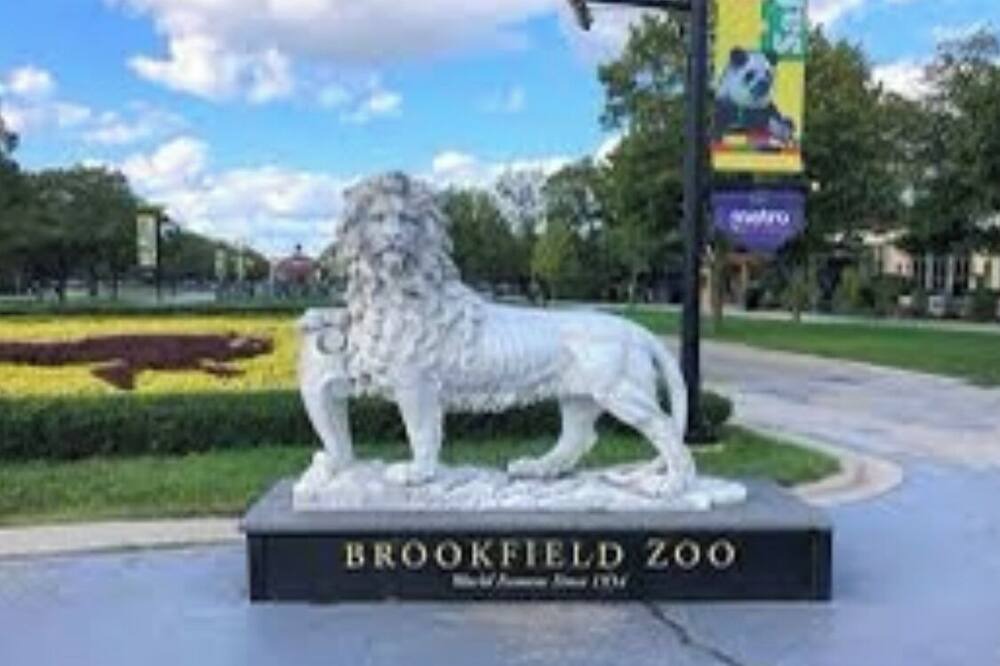 Photo of Outdoor in Brookfield