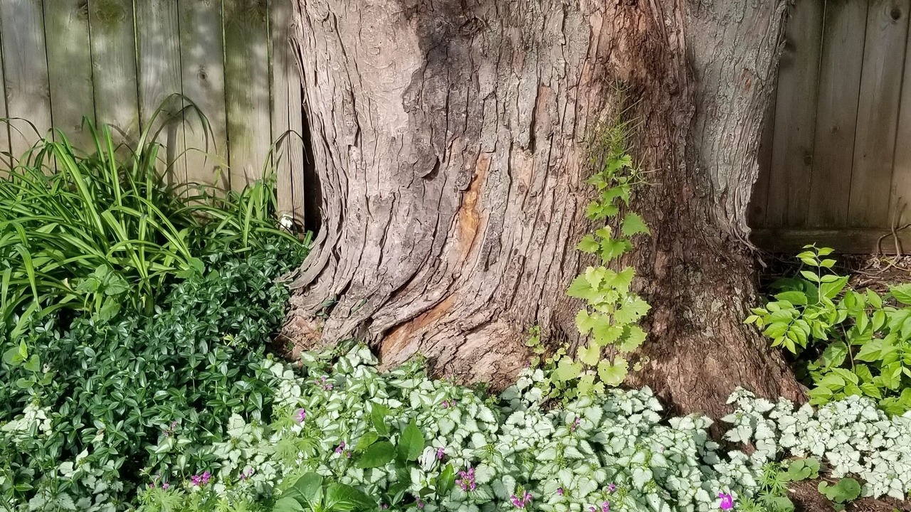 Photo of Outdoor in Machesney Park