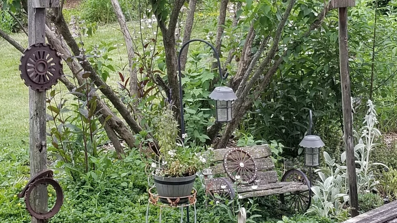Photo of Outdoor in Machesney Park