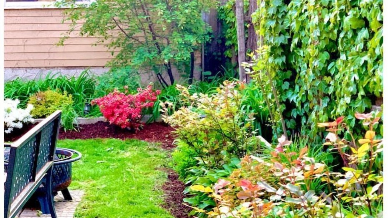 Photo of Outdoor in Bucktown