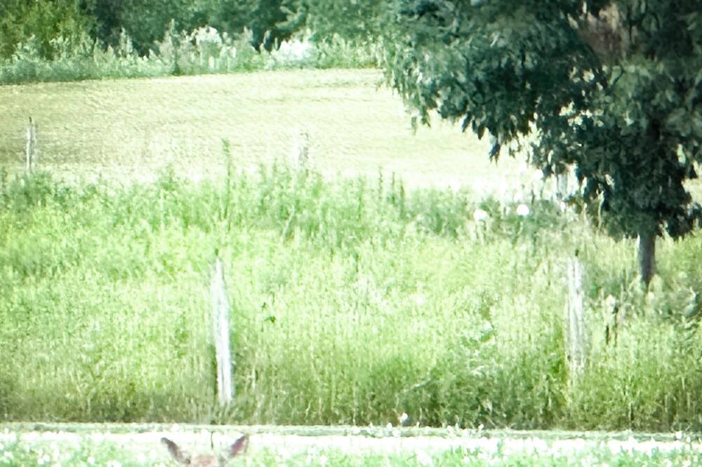 Photo of Outdoor in Franklin Grove