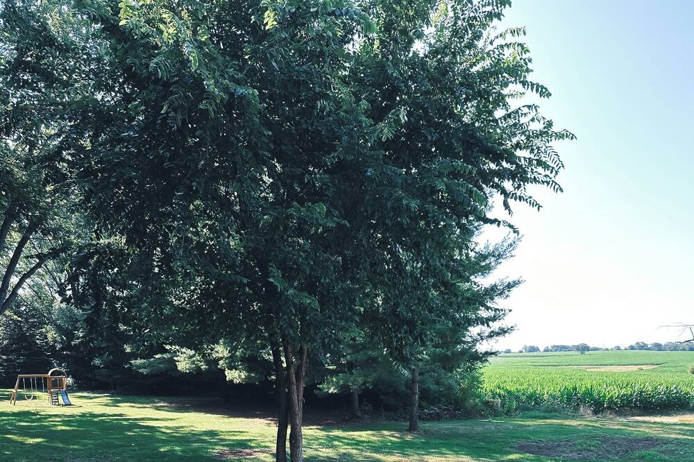 Photo of Outdoor in Franklin Grove