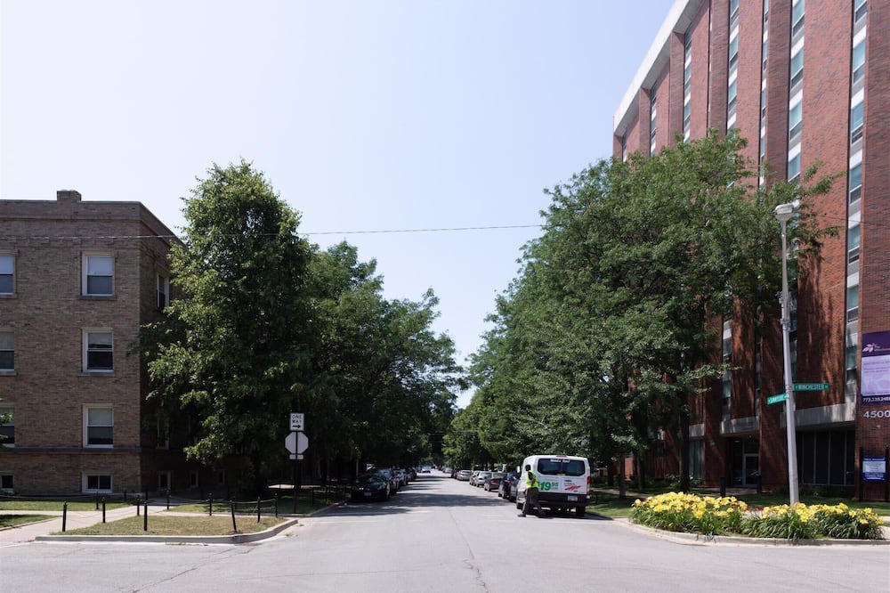Photo of Outdoor in Ravenswood