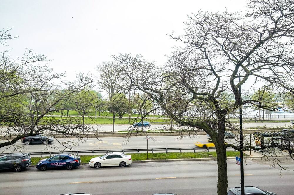 Photo of Others in Lake View East
