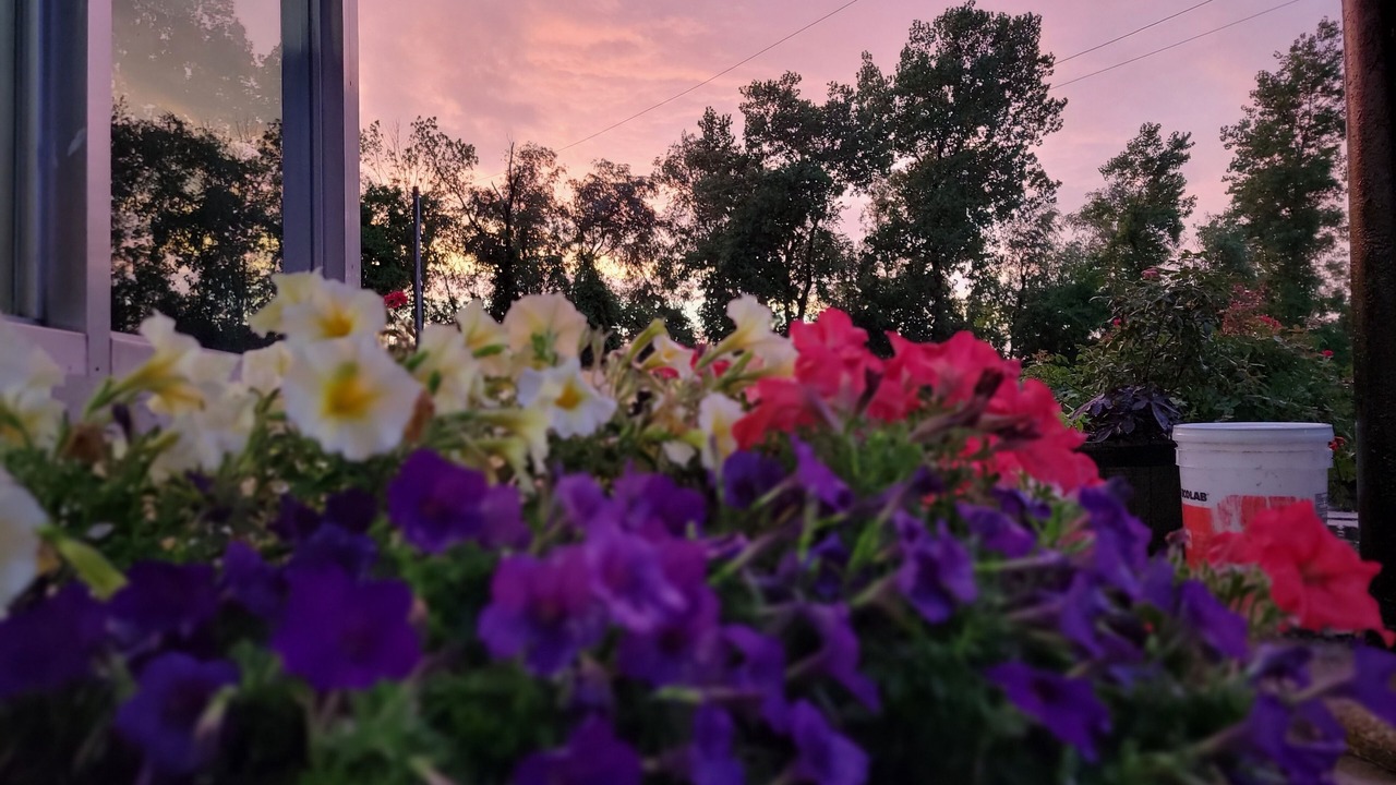 Photo of Outdoor in Fairmont City