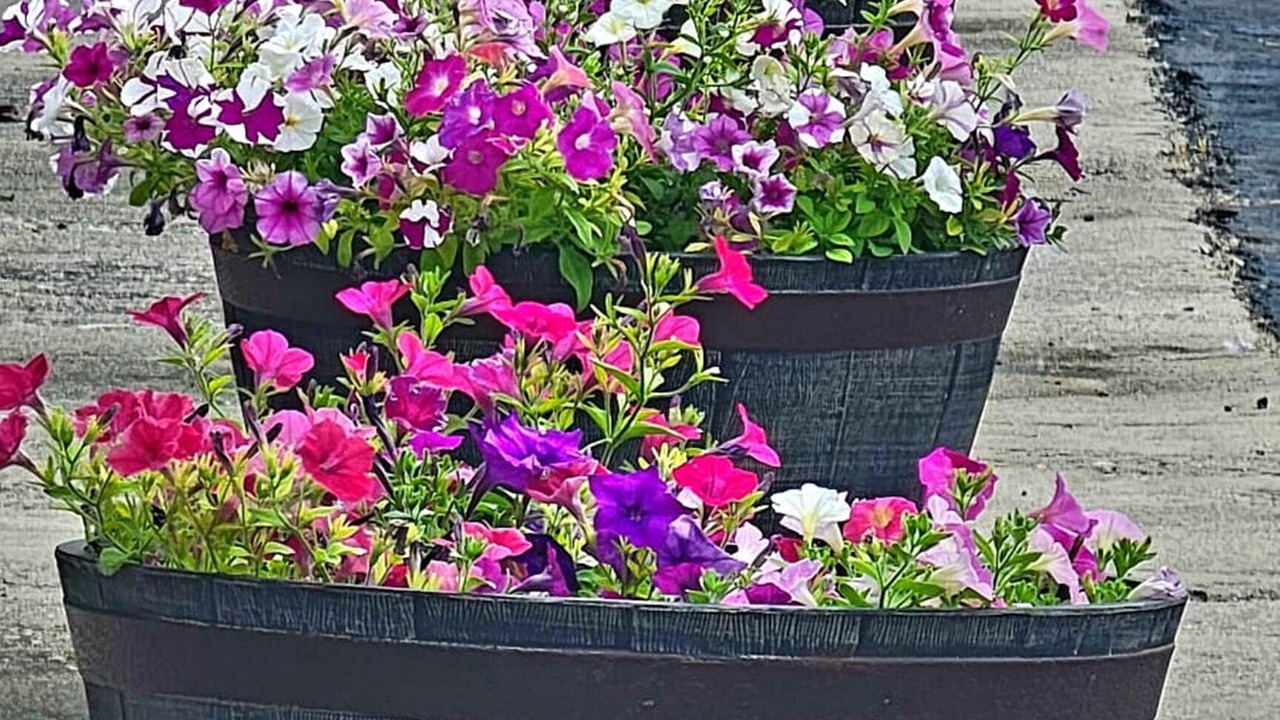 Photo of Outdoor in Fairmont City