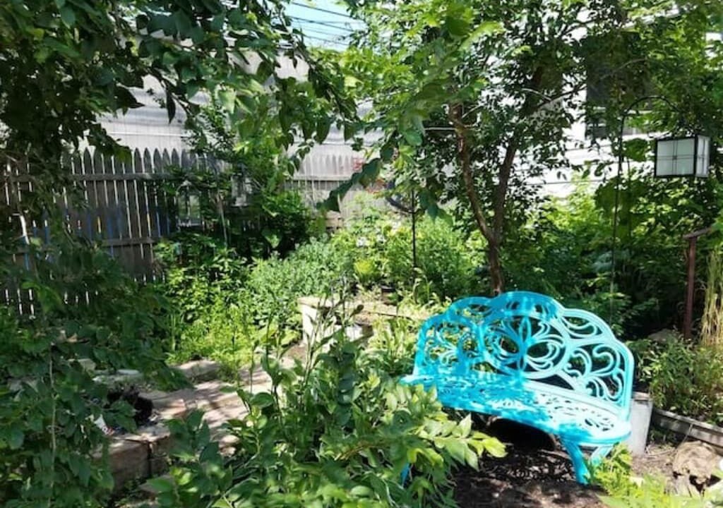 Photo of Outdoor in Berwyn